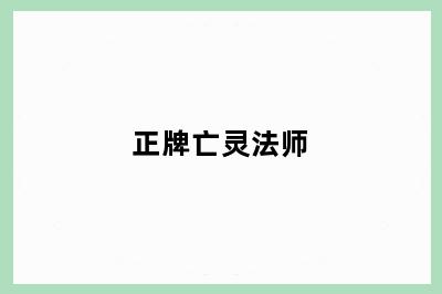 正牌亡灵法师