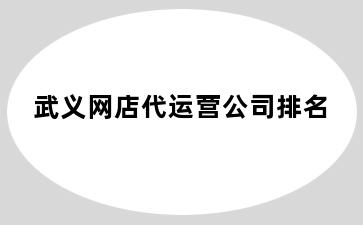 武义网店代运营公司排名