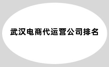 连州瑶安瑶族乡瑶安瑶族乡电商代运营公司排名