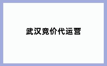 车辐山镇竞价代运营