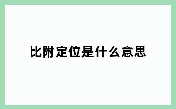 比附定位是什么意思