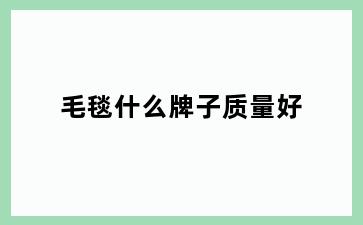 毛毯什么牌子质量好