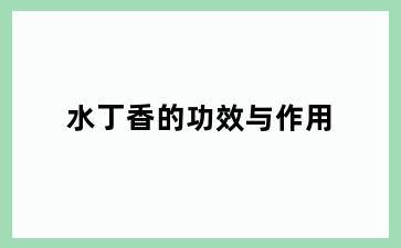 水丁香的功效与作用