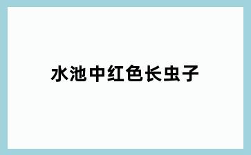 水池中红色长虫子