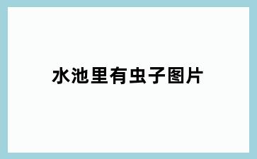 水池里有虫子图片