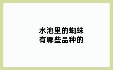 水池里的蜘蛛有哪些品种的