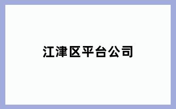 江津区平台公司