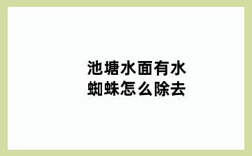 池塘水面有水蜘蛛怎么除去