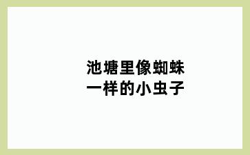 池塘里像蜘蛛一样的小虫子