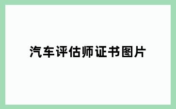 汽车评估师证书图片