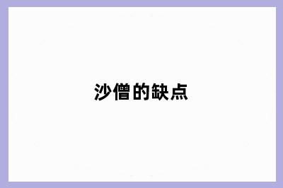 沙僧的缺点