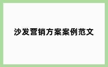 沙发营销方案案例范文