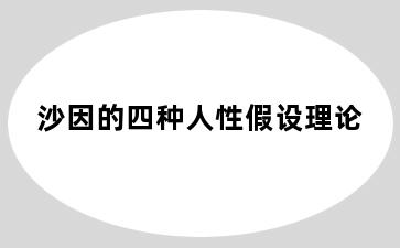 沙因的四种人性假设理论