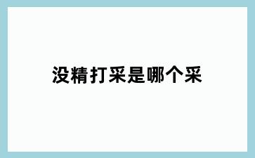 没精打采是哪个采