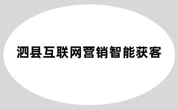 泗县互联网营销智能获客