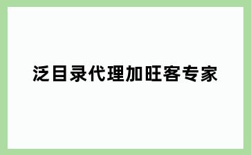 泛目录代理加旺客专家