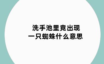洗手池里竟出现一只蜘蛛什么意思