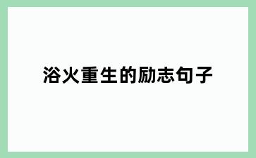 浴火重生的励志句子