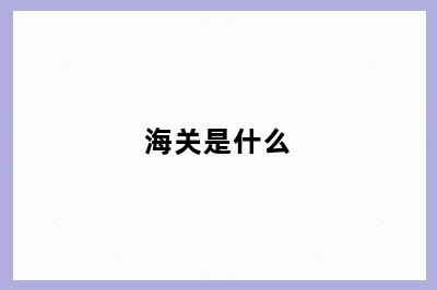 海关是什么
