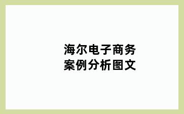海尔电子商务案例分析图文