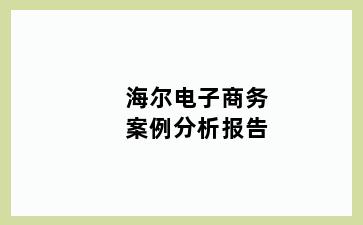 海尔电子商务案例分析报告