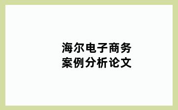 海尔电子商务案例分析论文
