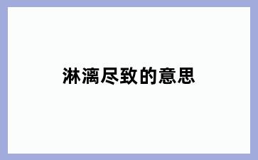 淋漓尽致的意思