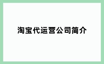 淘宝代运营公司简介