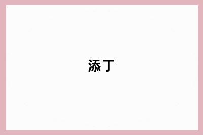 添丁