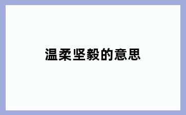 温柔坚毅的意思
