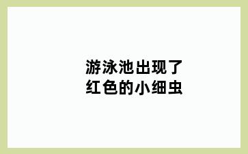 游泳池出现了红色的小细虫
