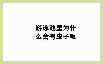 游泳池里为什么会有虫子呢