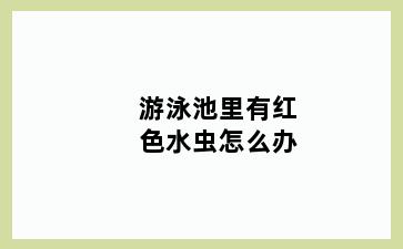 游泳池里有红色水虫怎么办