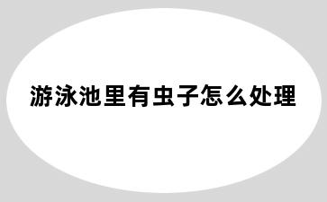 游泳池里有虫子怎么处理