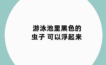 游泳池里黑色的虫子 可以浮起来