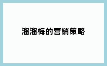 溜溜梅的营销策略