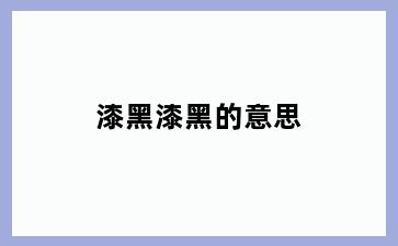 漆黑漆黑的意思