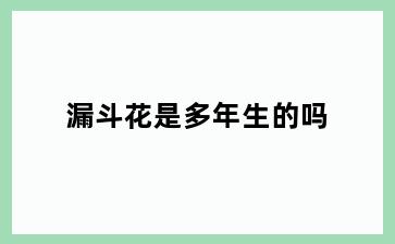 漏斗花是多年生的吗