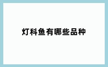 灯科鱼有哪些品种