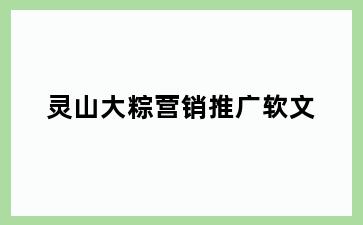 灵山大粽营销推广软文