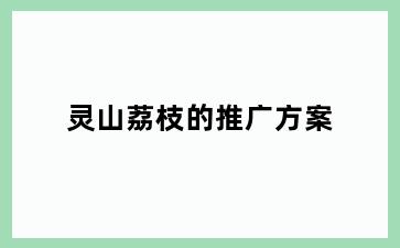 灵山荔枝的推广方案