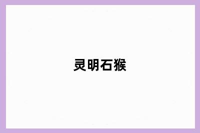 灵明石猴