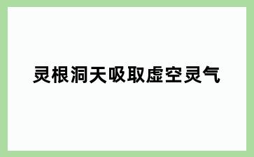 灵根洞天吸取虚空灵气