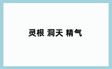 灵根 洞天 精气