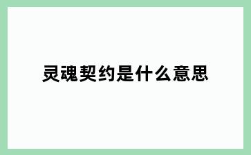 灵魂契约是什么意思