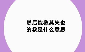然后能救其失也的救是什么意思