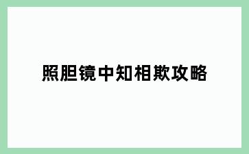 照胆镜中知相欺攻略