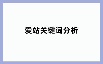 爱站关键词分析