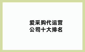 爱采购代运营公司十大排名