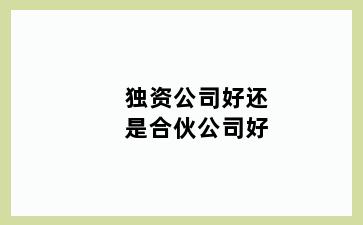 独资公司好还是合伙公司好